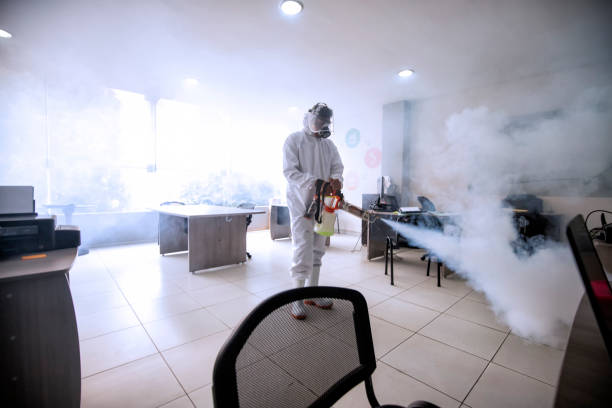 Disinfection, Sanitization of a restaurant bar Disinfection, Sanitization of a restaurant bar